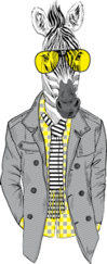 Zebra